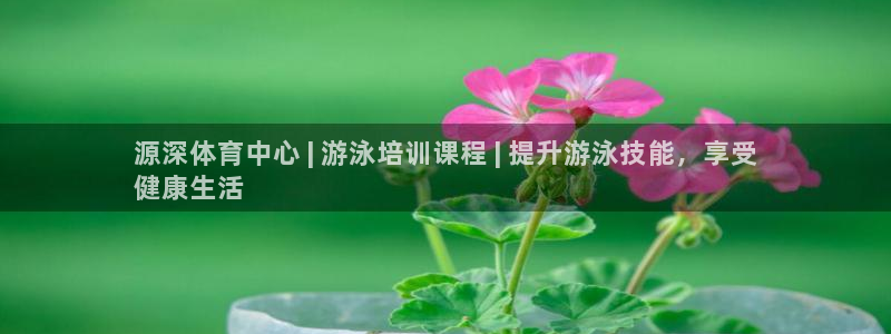 焦点娱乐加速器下载：源深体育中心 | 游泳培训课程 | 提升