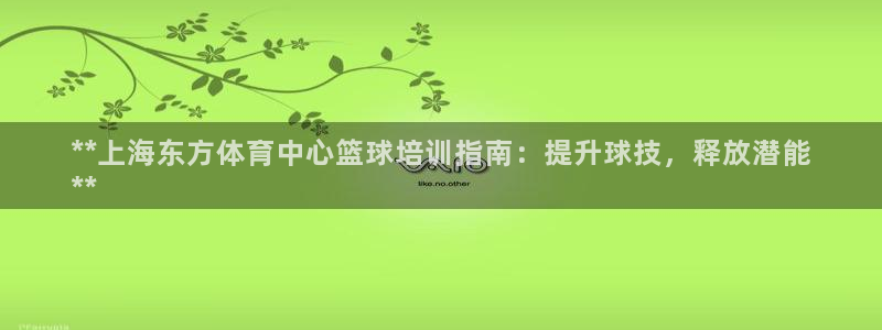 焦点娱乐全国总冠军：**上海东方体育中心篮球培训指南：提升球