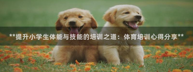 焦点娱乐平台客服电话人工服务：**提升小学生体能与技