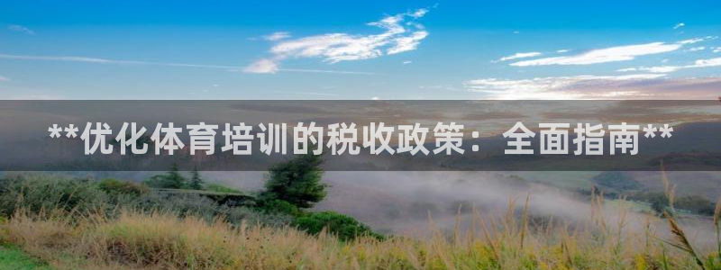 焦点娱乐游戏怎么玩的：**优化体育培训的税收政策：全