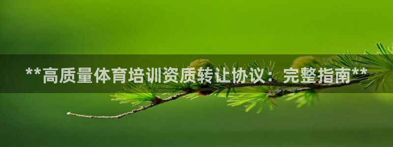 焦点娱乐游戏怎么玩视频：**高质量体育培训资质转让协议：完整