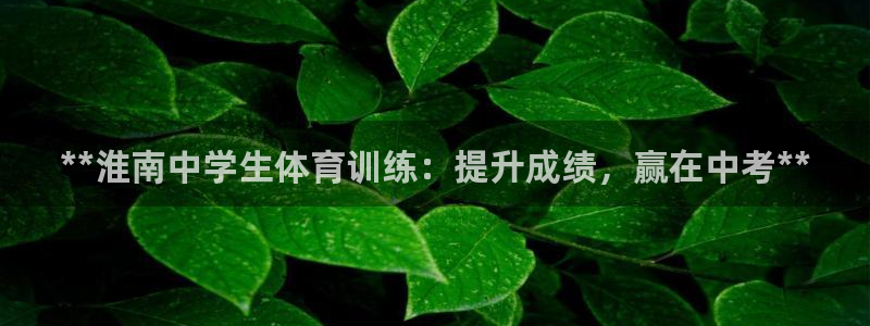 焦点娱乐官方网站下载安装手机版：**淮南中学生体育训