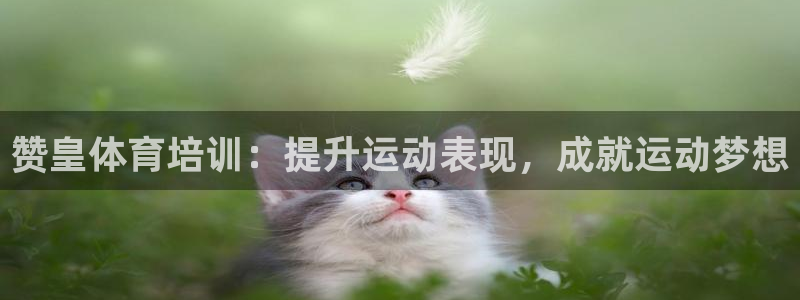 焦点娱乐拉菲11：赞皇体育培训：提升运动表现，成就运