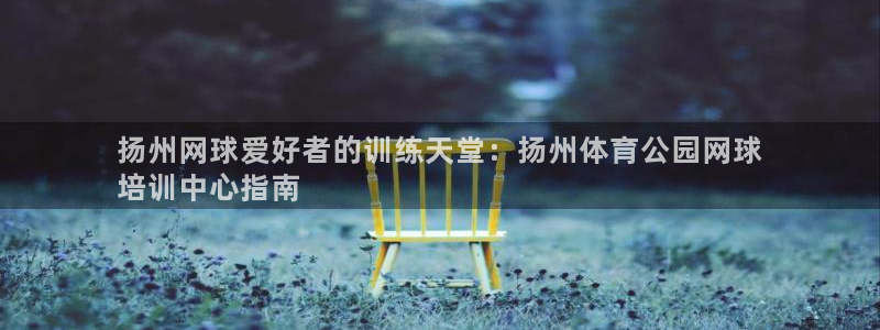 焦点娱乐游戏怎么玩：扬州网球爱好者的训练天堂：扬州体