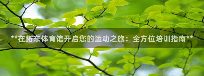 焦点娱乐官方网站下载安装最新版：**在拓东体育馆开启