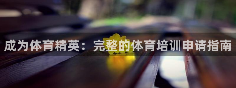 焦点娱乐下载手机版最新版：成为体育精英：完整的体育培