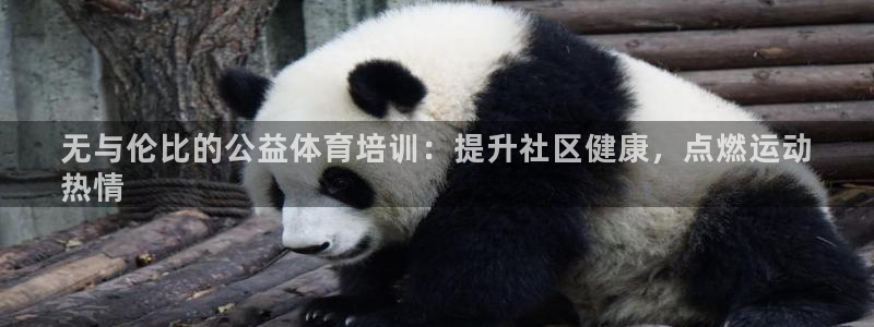 焦点娱乐拉菲11月11日：无与伦比的公益体育培训：提
