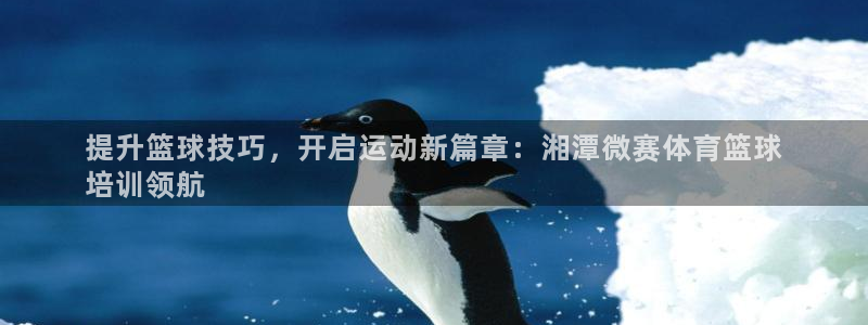 焦点娱乐app下载官网苹果版：提升篮球技巧，开启运动