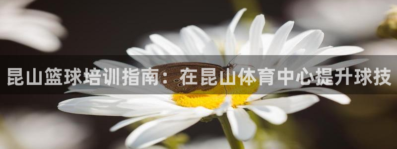 焦点娱乐会所：昆山篮球培训指南：在昆山体育中心提升球技