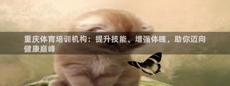 焦点娱乐负责人：重庆体育培训机构：提升技能、增强体魄