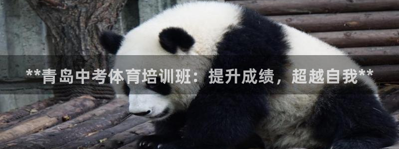 焦点娱乐招商注册 知乎：**青岛中考体育培训班：提升成绩，超