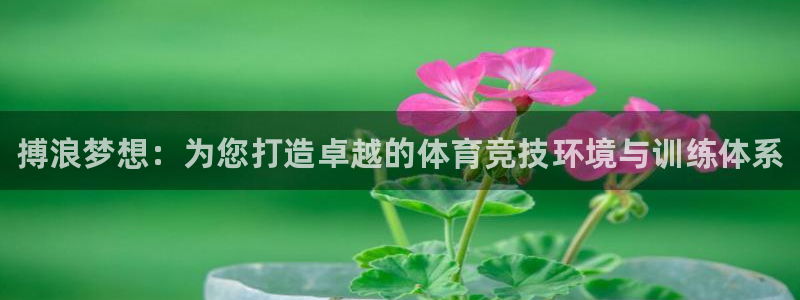 焦点娱乐平台客服电话号码