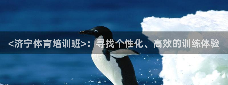 焦点娱乐怎么找