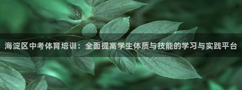 焦点娱乐平台最高待遇
