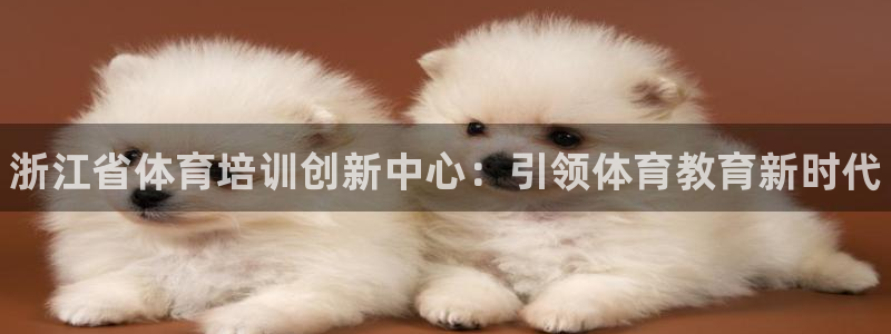 焦点娱乐app下载安装苹果：浙江省体育培训创新中心：引领体育