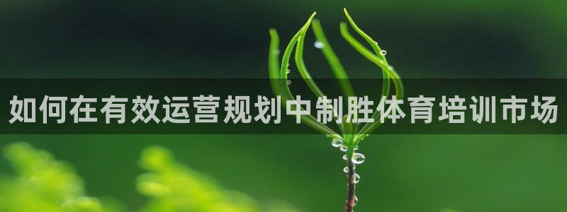 焦点娱乐app下载安装方式最新：如何在有效运营规划中制胜体育