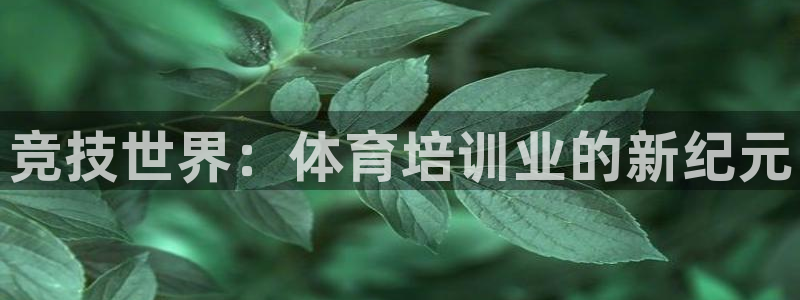 焦点娱乐官网下载安装手机版苹果：竞技世界：体育培训业的新纪元