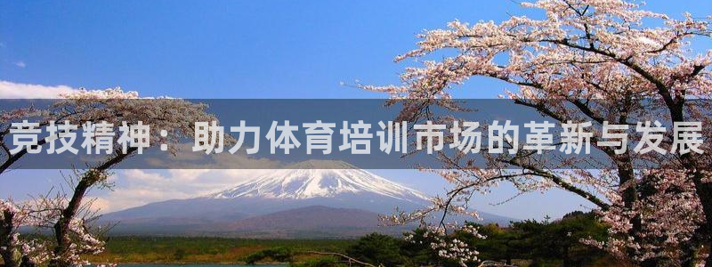 焦点娱乐官方网站下载手机版安装：竞技精神：助力体育培