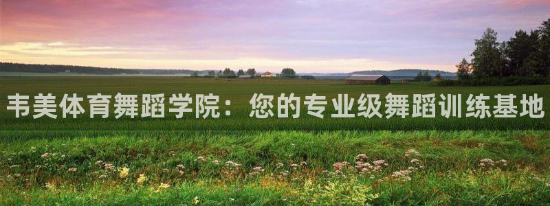 焦点娱乐是哪个公司的软件：韦美体育舞蹈学院：您的专业