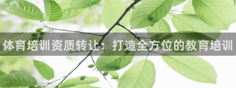 焦点娱乐网站下载地址大全：体育培训资质转让：打造全方