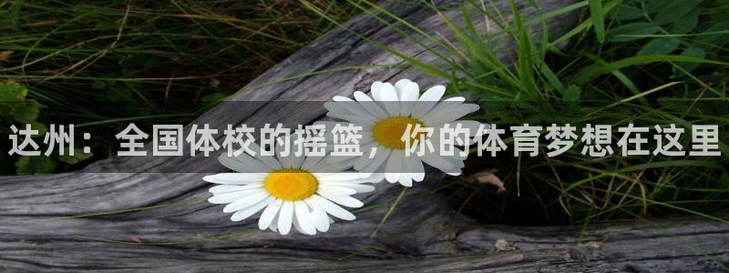 焦点娱乐官网下载安装最新版本